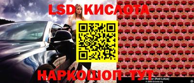 ГАЛЛЮЦИНОГЕННЫЕ ГРИБЫ Сланцы