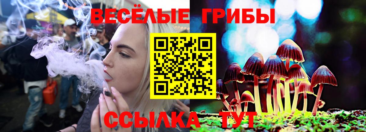 Галлюциногенные грибы ЛСД Орёл